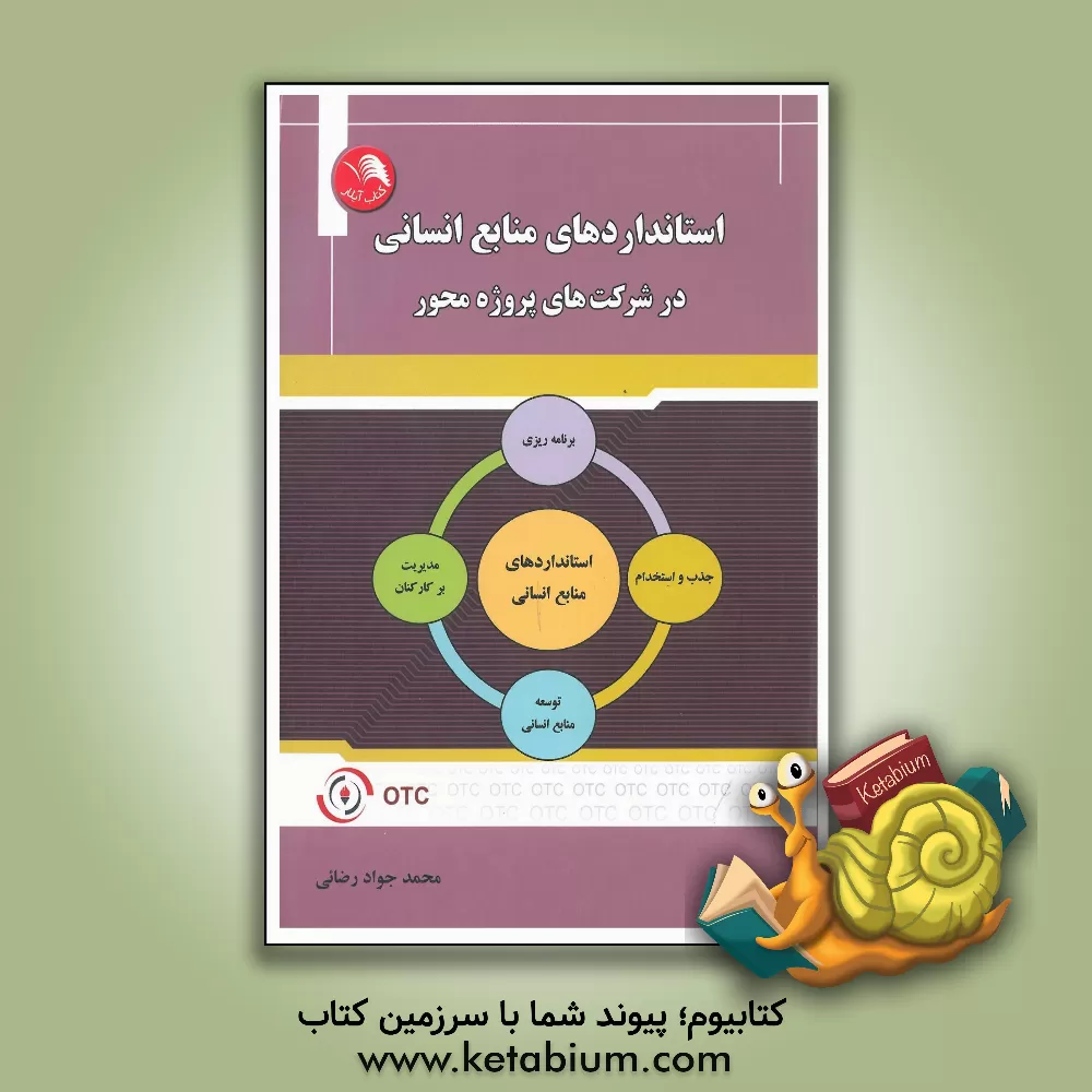 کتاب استانداردهای منابع انسانی در شرکت های پروژه محور اثر محمدجواد رضائی