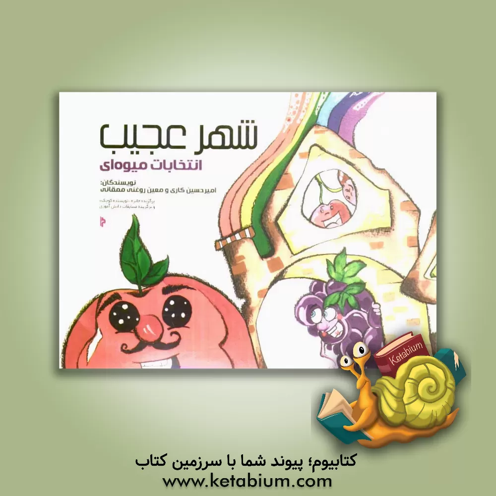 کتاب شهر عجیب انتخابات میوه ای اثر معین روغنی‌ممقانی