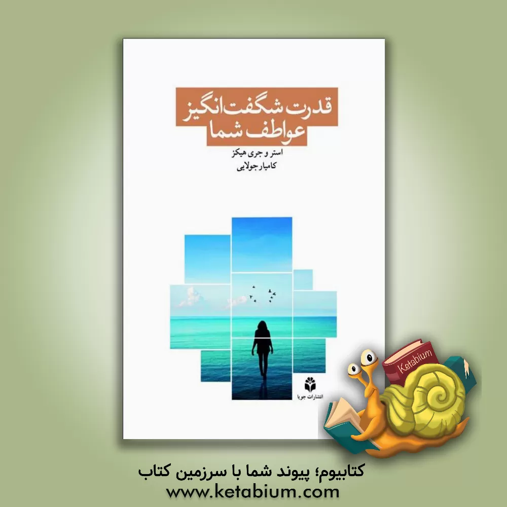 کتاب قدرت شگفت انگیز عواطف شما: اجازه دهید احساسات راهنمای شما باشند (چگونه باید بخواهید تا به شما داده شود) اثر استر هیکس