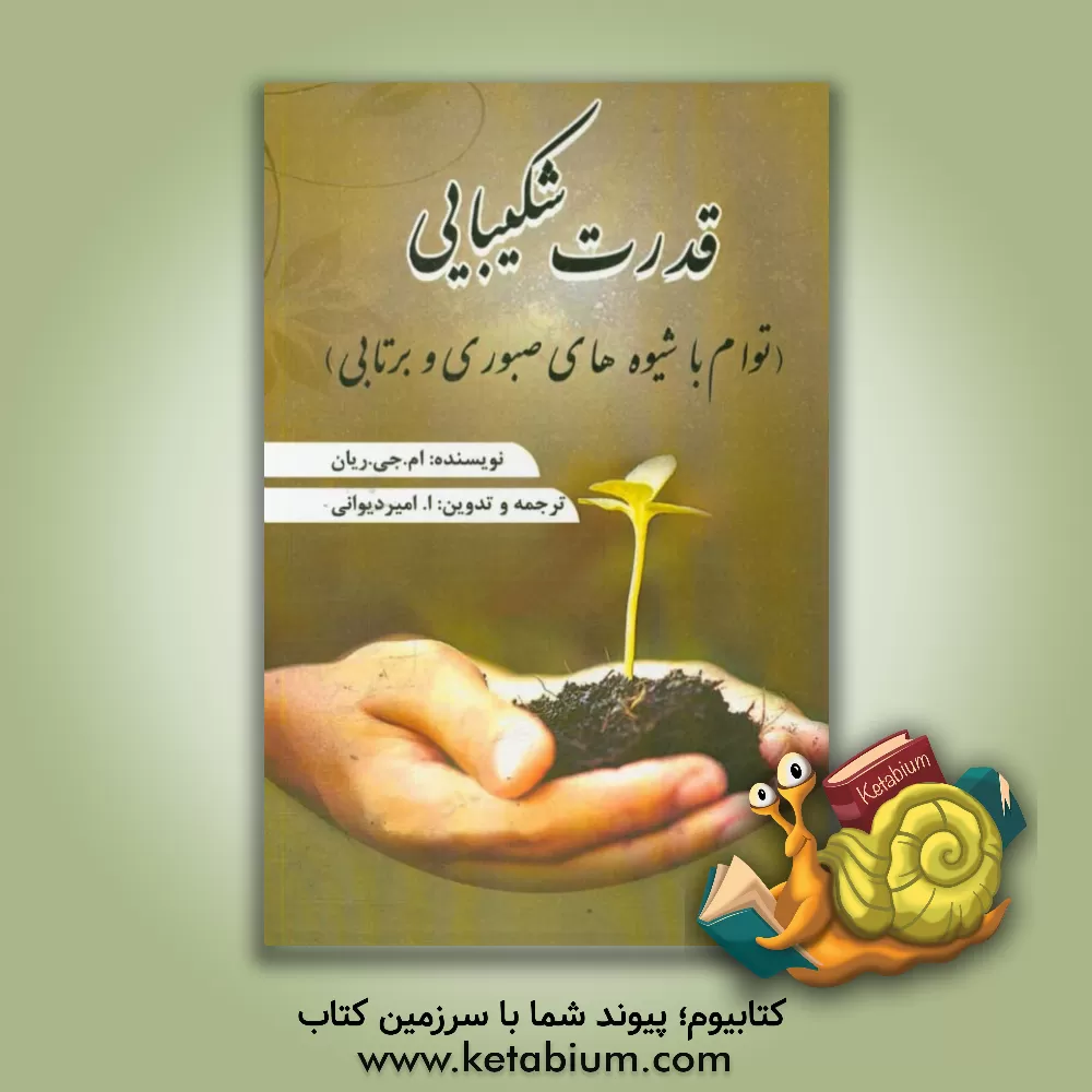 کتاب قدرت شکیبایی (توام با شیوه های صبوری و برتابی) اثر مری‌جین رایان